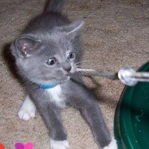 Meet your Posher, Anne